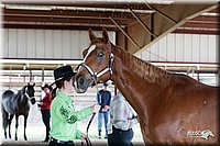 4H-Fun-Show-10_075.jpg