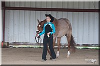 4H-Fun-Show-10_081.jpg