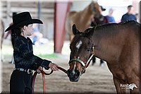 4H-Fun-Show-10_205.jpg