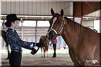 4H-Fun-Show-10_213.jpg