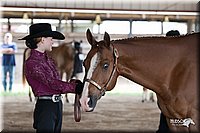 4H-Fun-Show-10_223.jpg