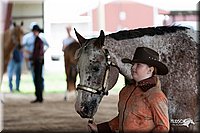4H-Fun-Show-10_235.jpg