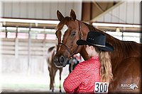 4H-Fun-Show-10_249.jpg