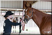 4H-Fun-Show-10_267.jpg