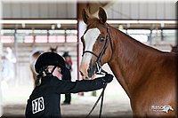 4H-Fun-Show-10_280.jpg