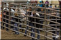 4H-State-2010_0250.jpg
