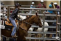 4H-State-2010_0252.jpg