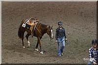 4H-State-2010_0261.jpg