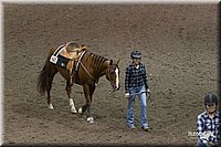 4H-State-2010_0262.jpg