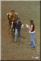 4H-State-2010_0265.jpg