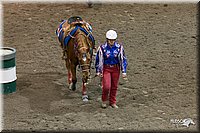 4H-State-2010_0274.jpg