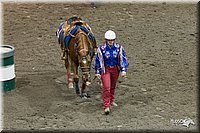 4H-State-2010_0275.jpg