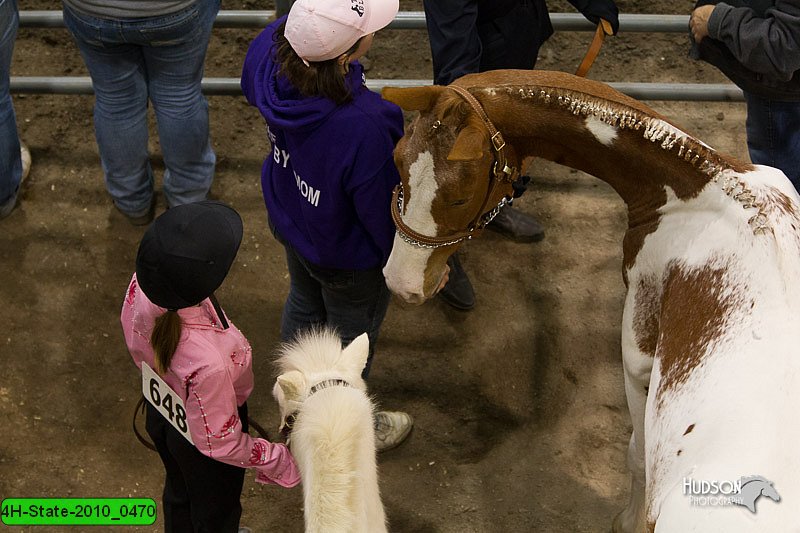 4H-State-2010_0470.jpg
