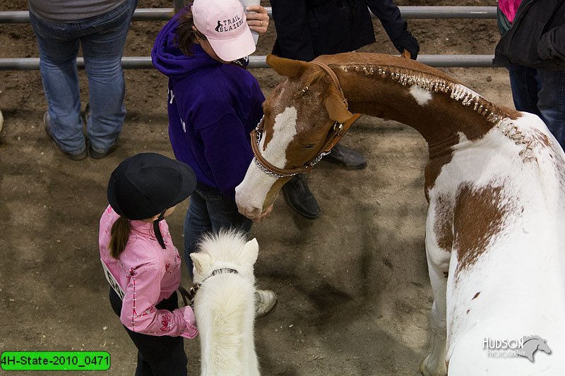 4H-State-2010_0471.jpg