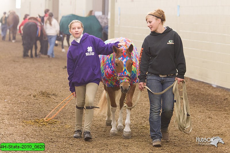 4H-State-2010_0620.jpg