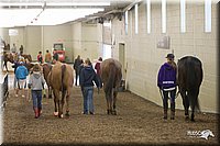 4H-State-2010_0125.jpg