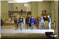 4H-State-2010_0127.jpg