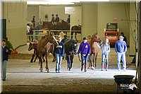 4H-State-2010_0128.jpg