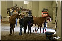 4H-State-2010_0130.jpg