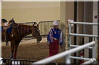 4H-State-2010_0166.jpg