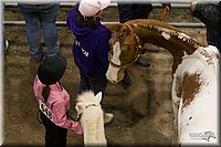 4H-State-2010_0470.jpg