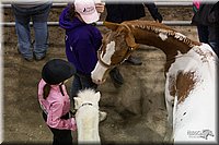 4H-State-2010_0471.jpg