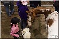 4H-State-2010_0472.jpg