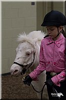 4H-State-2010_0482.jpg