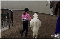 4H-State-2010_0483.jpg