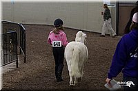 4H-State-2010_0484.jpg