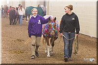 4H-State-2010_0619.jpg
