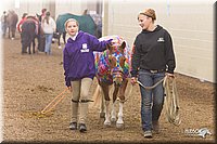 4H-State-2010_0620.jpg