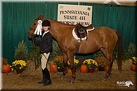 4H-State-2010_0799.jpg