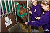 4H-State-2010_0805.jpg