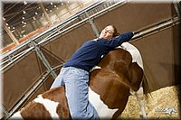 4H-State-2010_0975.jpg