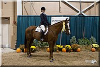 4H-State-2010_1087.jpg