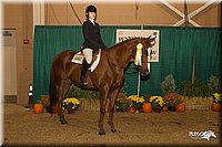 4H-State-2010_1089.jpg