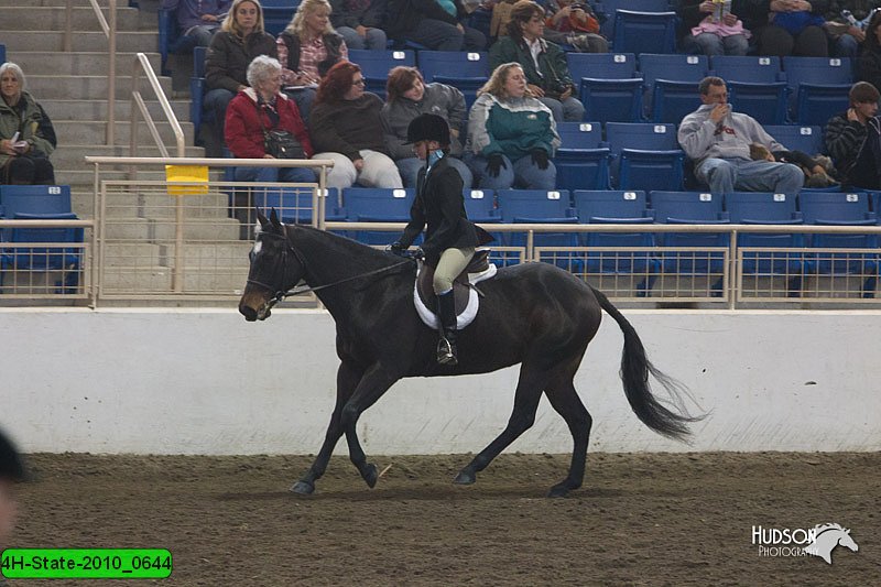 4H-State-2010_0644.jpg