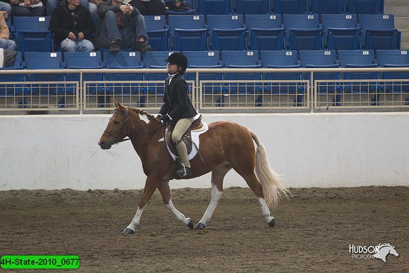 4H-State-2010_0677.jpg