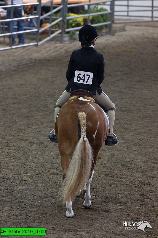 4H-State-2010_0700.jpg