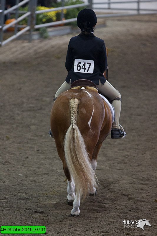 4H-State-2010_0701.jpg