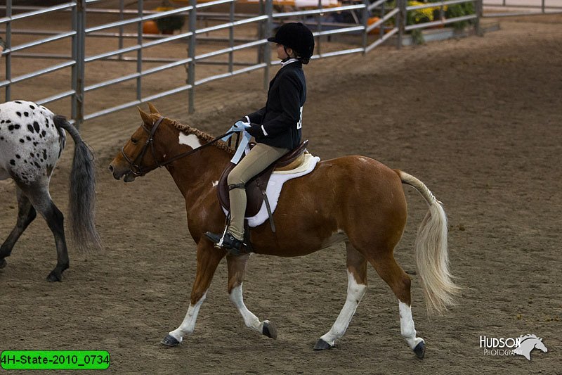 4H-State-2010_0734.jpg