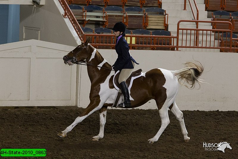 4H-State-2010_0863.jpg