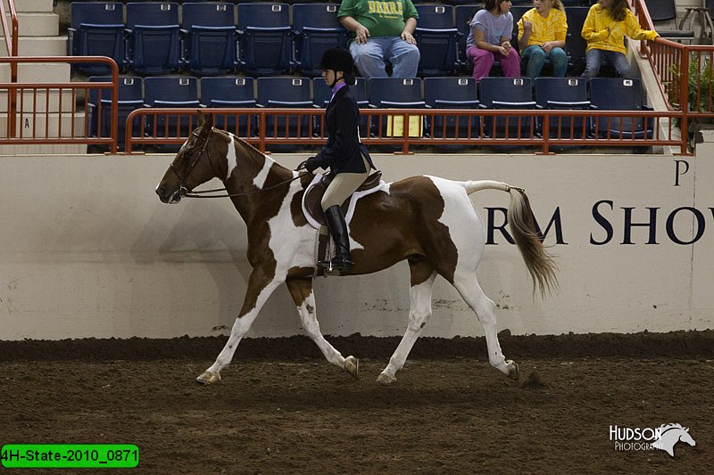 4H-State-2010_0871.jpg