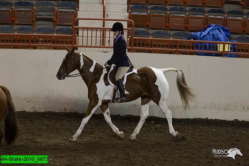 4H-State-2010_0873.jpg