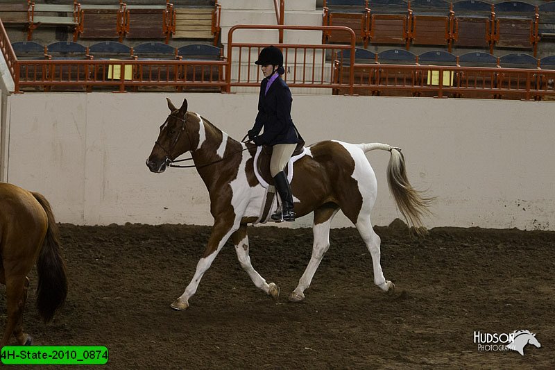 4H-State-2010_0874.jpg