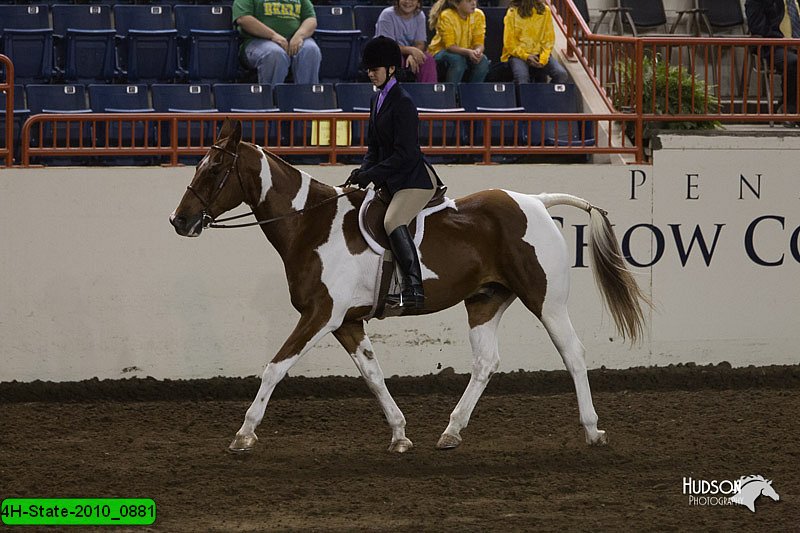 4H-State-2010_0881.jpg