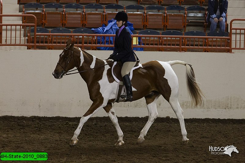 4H-State-2010_0883.jpg