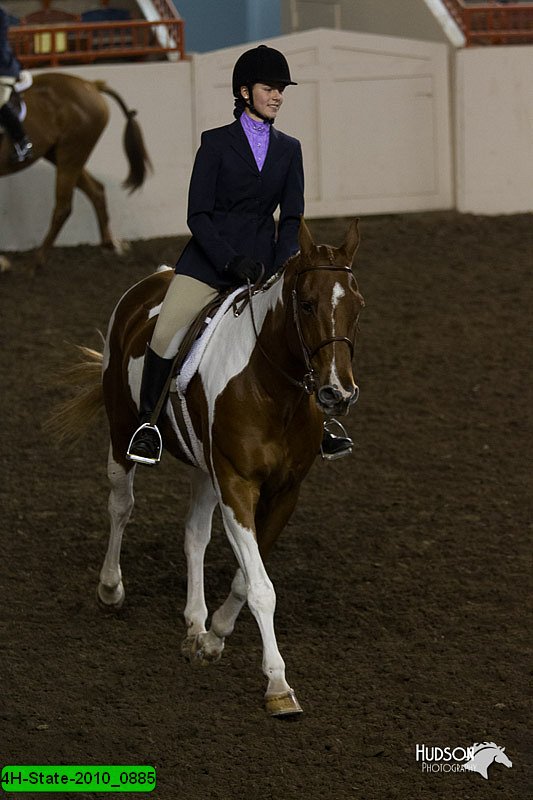 4H-State-2010_0885.jpg