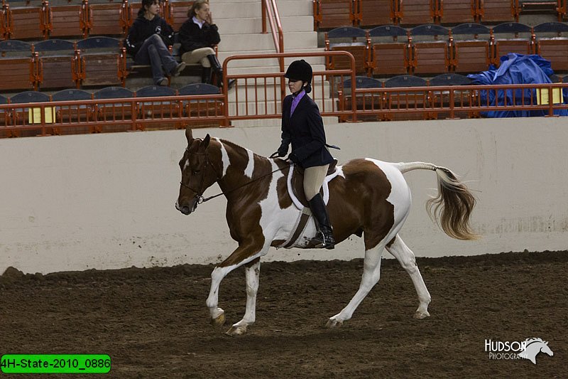 4H-State-2010_0886.jpg